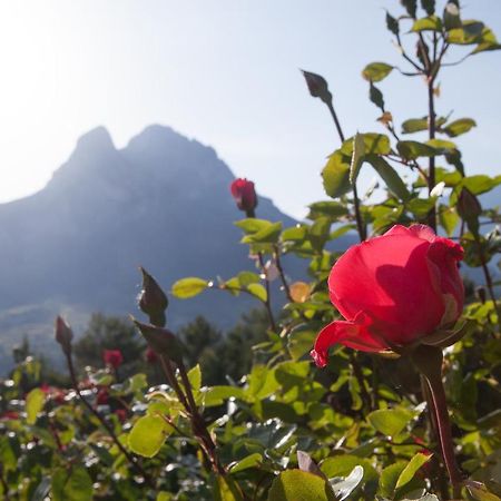 Hostal Rural Cal Xic Saldés Kültér fotó