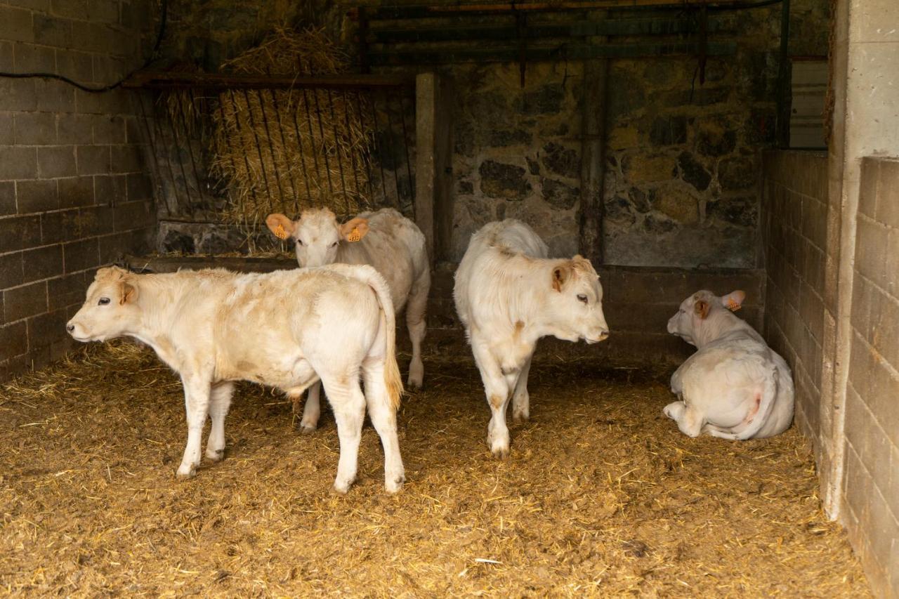 Hostal Rural Cal Xic Saldés Kültér fotó
