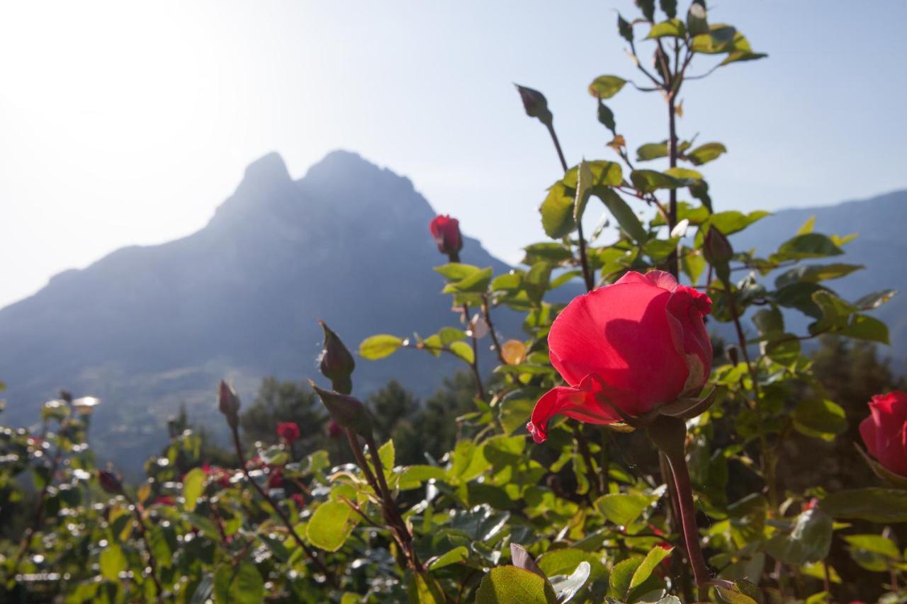 Hostal Rural Cal Xic Saldés Kültér fotó